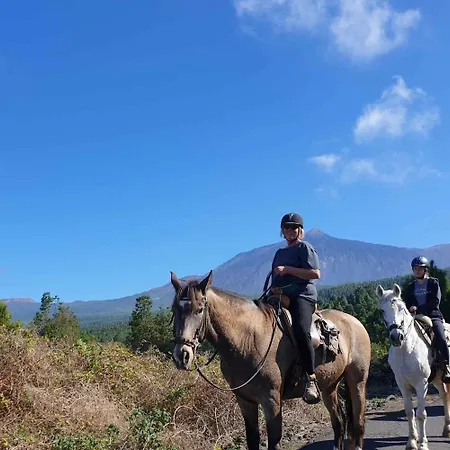 Golf Del Sur - Magnificent Panorama Of The Ocean, El Teide, And Montana Roja *